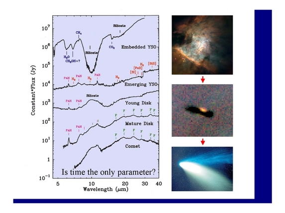 Thomas Henning: From disks to planets - boulders, gaps, and traffic jams