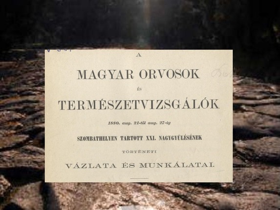 2010. október 19. - Dr. Jankovics István előadása