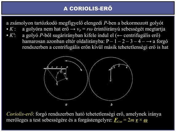 2010. október 19. - Dr. Kovács József előadása