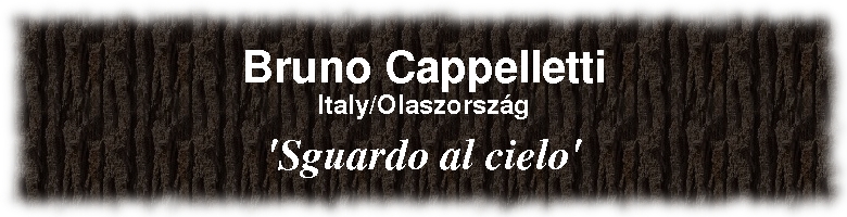 Bruno Cappelletti