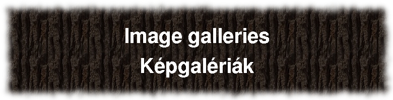 IMAGE GALLERIES | KÉPGALÉRIÁK