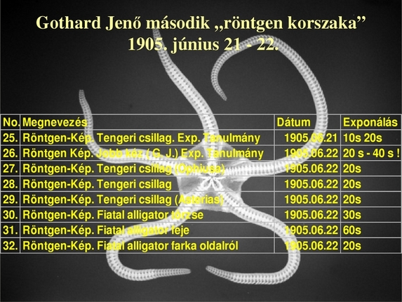Dr. Vincze Ildikó (ELTE Gothard Asztrofizikai Obszervatórium): Gothard Jenő röntgenfelvételei és röntgencsövei