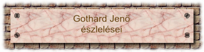 GOTHARD JENŐ ÉSZLELÉSEI